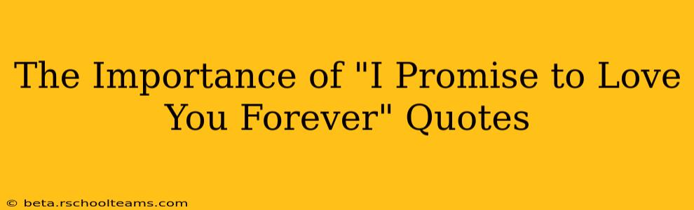 The Importance of "I Promise to Love You Forever" Quotes