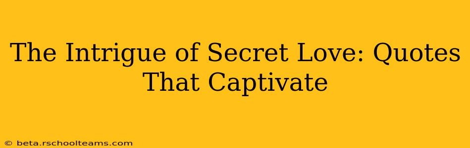 The Intrigue of Secret Love: Quotes That Captivate