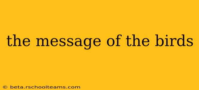 the message of the birds
