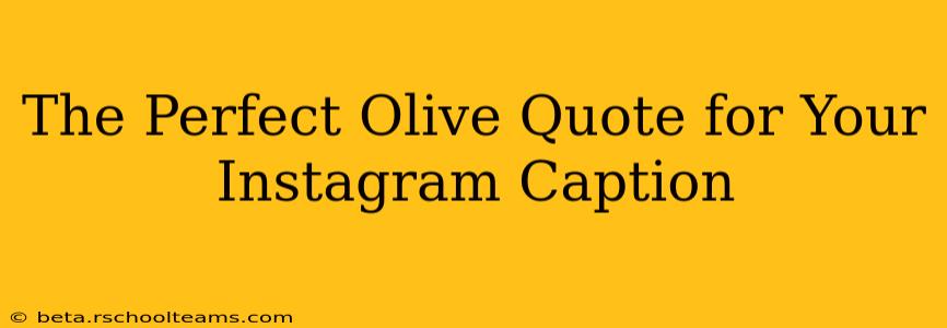 The Perfect Olive Quote for Your Instagram Caption
