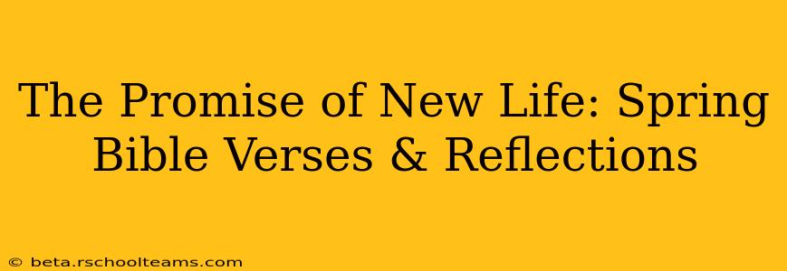 The Promise of New Life: Spring Bible Verses & Reflections