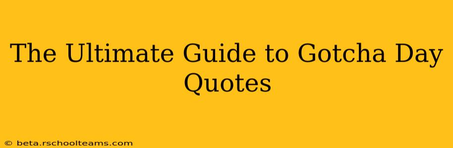 The Ultimate Guide to Gotcha Day Quotes