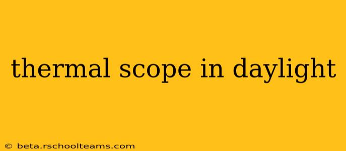 thermal scope in daylight