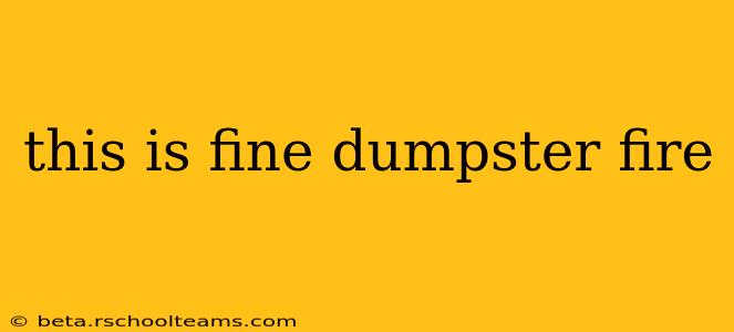 this is fine dumpster fire