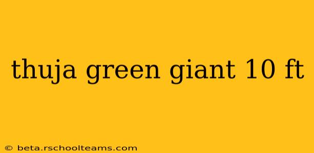 thuja green giant 10 ft
