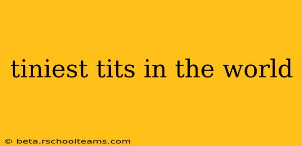 tiniest tits in the world tiniest tits in the world