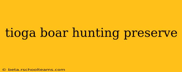 tioga boar hunting preserve
