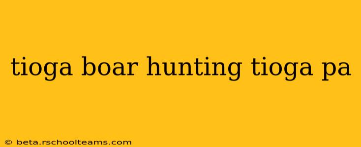 tioga boar hunting tioga pa