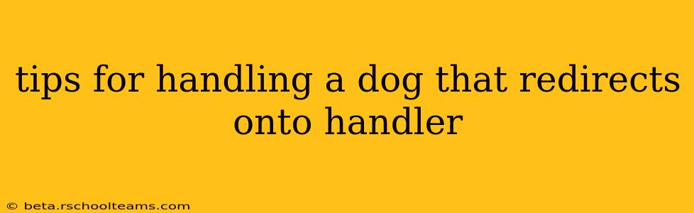 tips for handling a dog that redirects onto handler