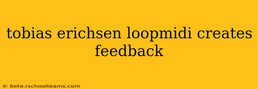 tobias erichsen loopmidi creates feedback