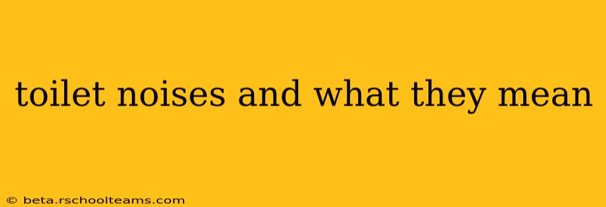 toilet noises and what they mean