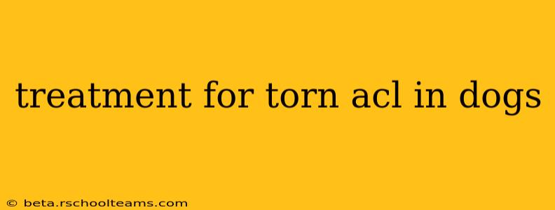 treatment for torn acl in dogs
