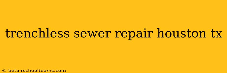 trenchless sewer repair houston tx