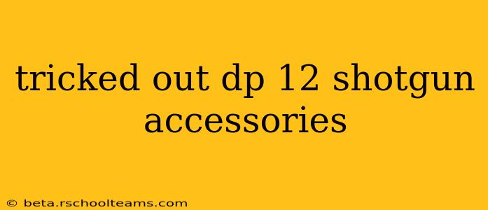 tricked out dp 12 shotgun accessories