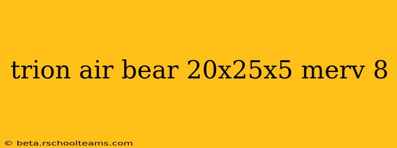 trion air bear 20x25x5 merv 8