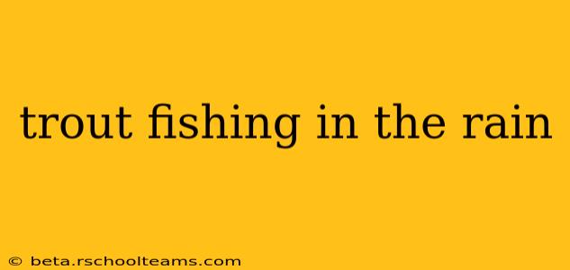 trout fishing in the rain