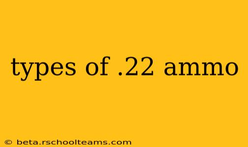 types of .22 ammo