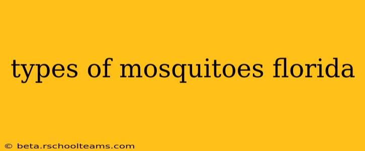 types of mosquitoes florida