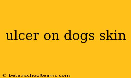 ulcer on dogs skin