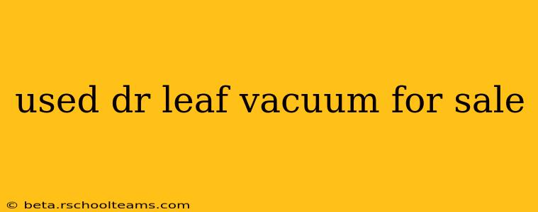 used dr leaf vacuum for sale
