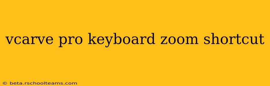 vcarve pro keyboard zoom shortcut
