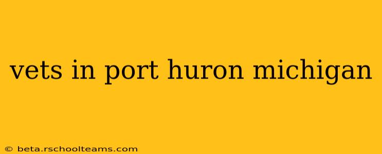 vets in port huron michigan