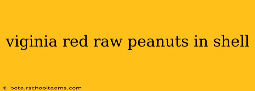 viginia red raw peanuts in shell