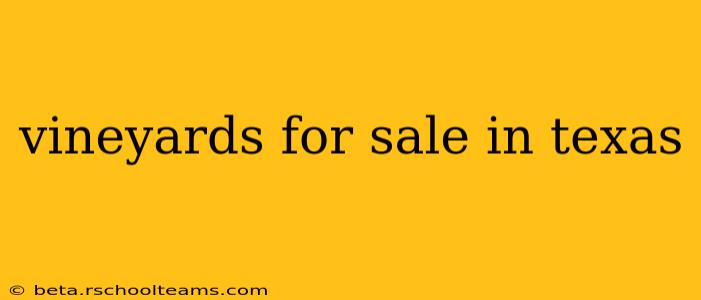 vineyards for sale in texas