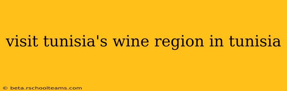 visit tunisia's wine region in tunisia