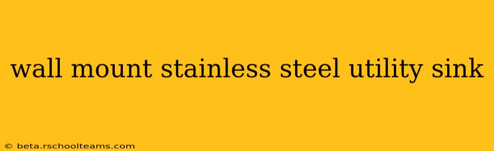 wall mount stainless steel utility sink