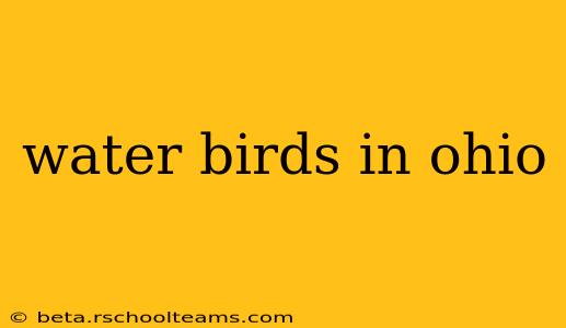 water birds in ohio