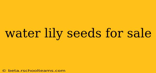 water lily seeds for sale