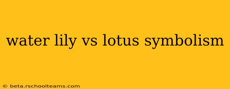 water lily vs lotus symbolism