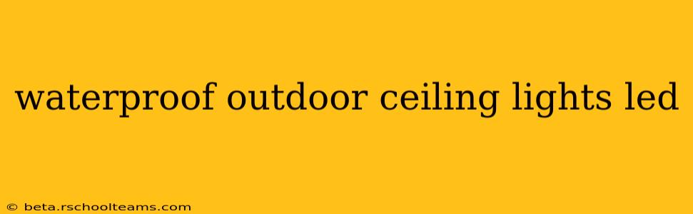 waterproof outdoor ceiling lights led