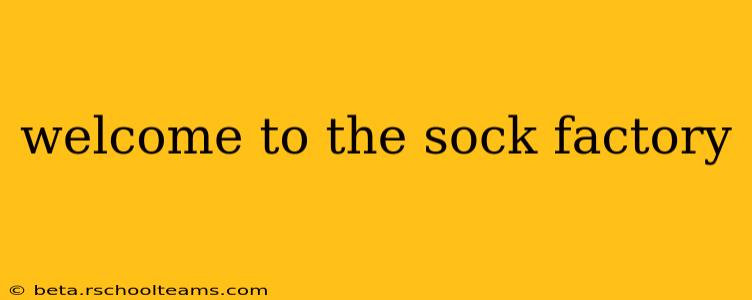 welcome to the sock factory