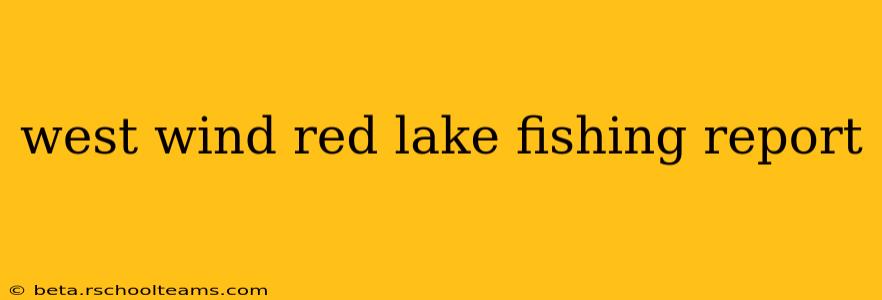 west wind red lake fishing report