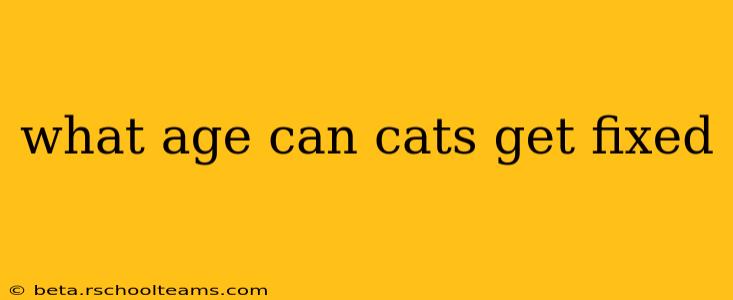 what age can cats get fixed