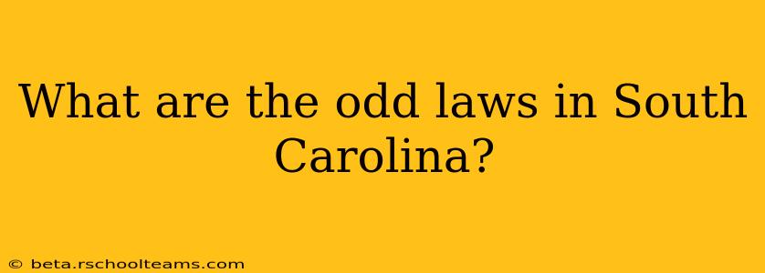 What are the odd laws in South Carolina?