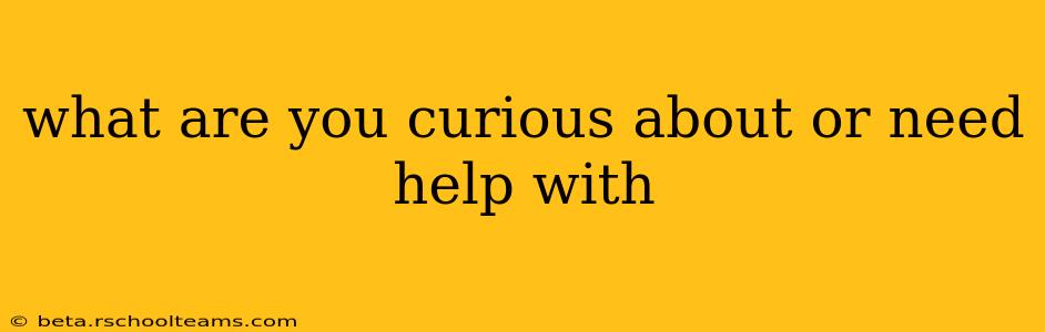 what are you curious about or need help with