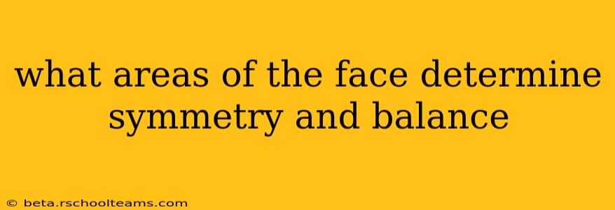 what areas of the face determine symmetry and balance