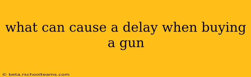 what can cause a delay when buying a gun