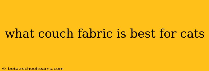 what couch fabric is best for cats
