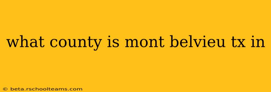 what county is mont belvieu tx in