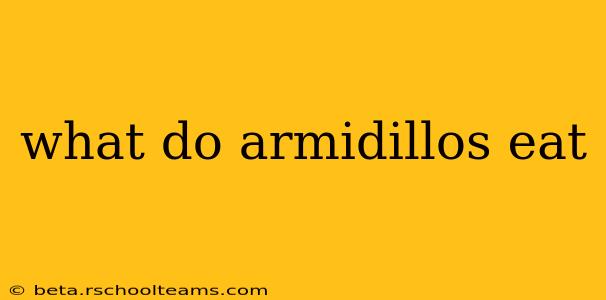 what do armidillos eat