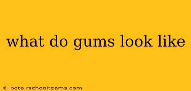 what do gums look like