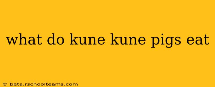 what do kune kune pigs eat