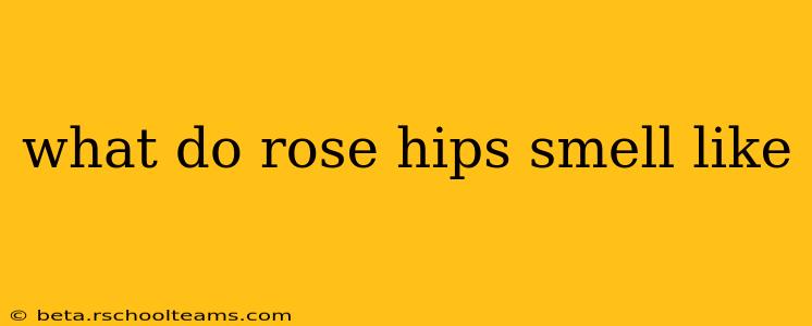 what do rose hips smell like
