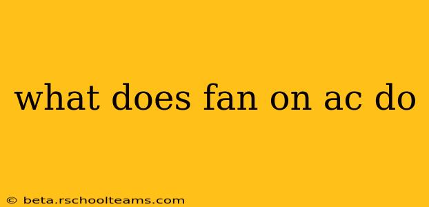 what does fan on ac do