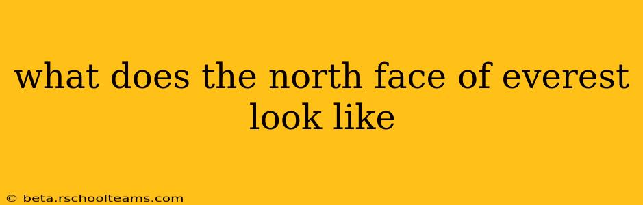 what does the north face of everest look like