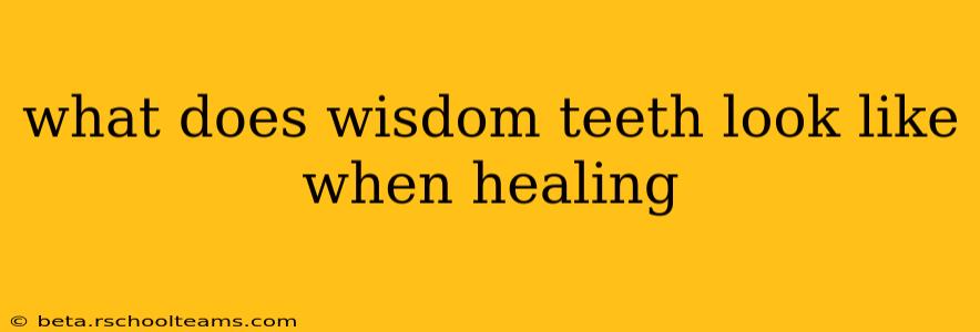 what does wisdom teeth look like when healing